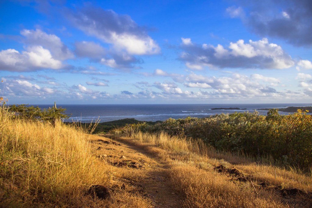Vue sur Cap Macré, en remontant du chemin des Mornes (c) Fanny G.