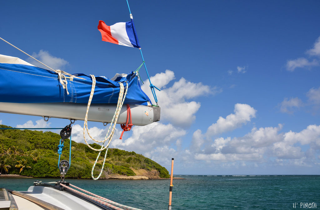 Les Fonds Blancs De Martinique Et Ses îlets En Catamaran Ti Piment 3005