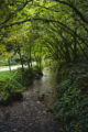 jura source Lison