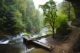 visiter jura source Lison