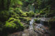 jura cascade verneau