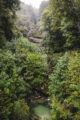 jura cascade bief de la ruine