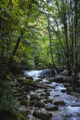 jura cascade hérisson