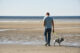 balade sur la plage avec un chien à Cayeux-sur-Mer