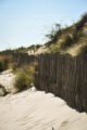 Cayeux-sur-mer et sa balade le long du littoral et dans les dunes