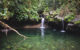 bassin paradise guadeloupe