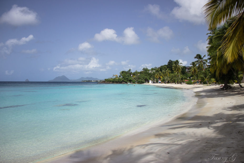 anse figuier Martinique Ti' Piment anse figuier Martinique Ti' Piment
