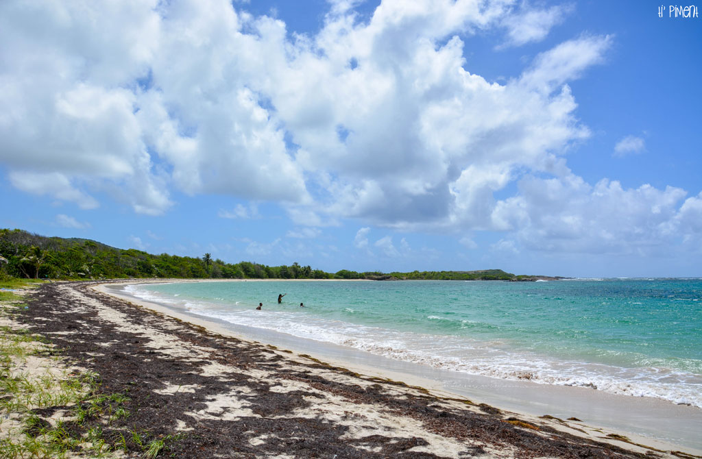 La plage sauvage de l'anse à Prunes en Martinique Ti' Piment