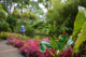 Jardin de Balata Martinique