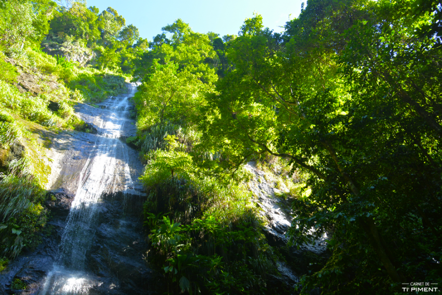 La cascade Couleuvre : une randonnée à ne pas manquer en Martinique ...