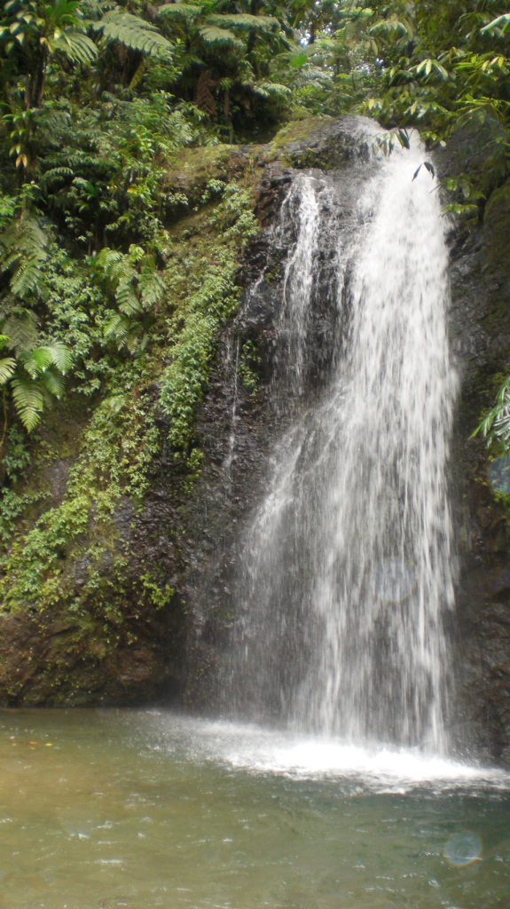 journéemardi11jardinbalataetcascadedusautdugendarme097dechristineC. Ti' Piment