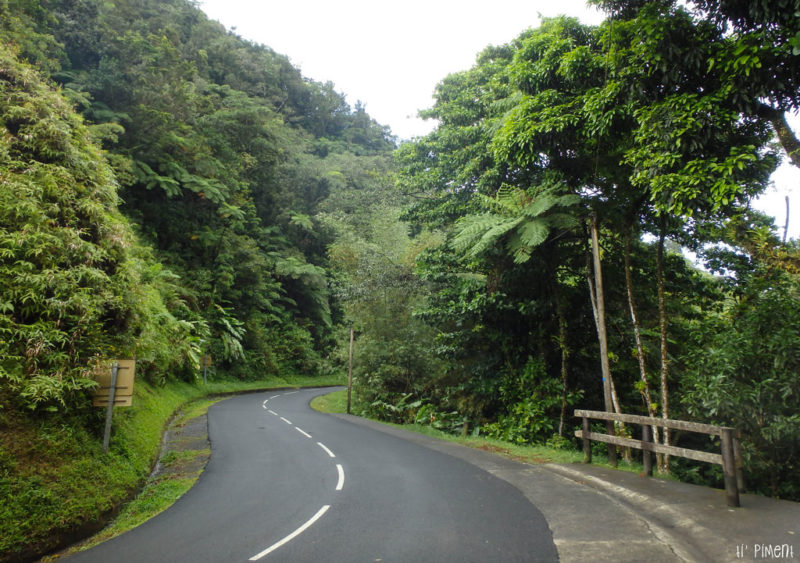 Martinique : La Route de la Trace et ses incontournables - Ti' Piment