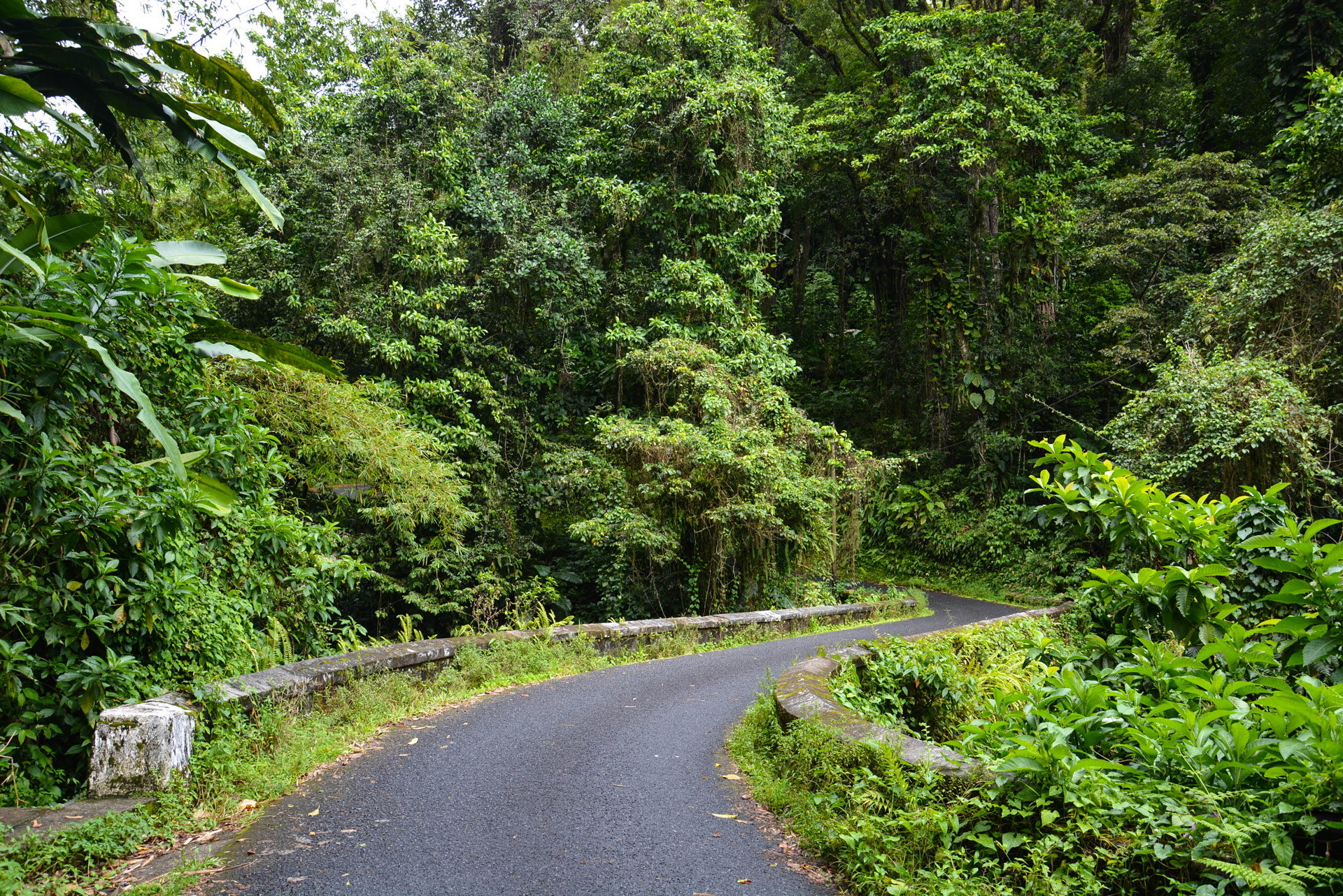 Martinique : La Route de la Trace et ses incontournables - Ti' Piment