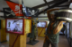 Zoo de Martinique : espace piraterie